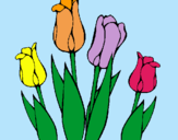 Dibuix Tulipes pintat per MARTI