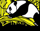 Dibuix Ós panda menjant pintat per eli