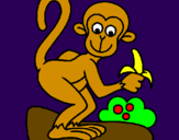 Dibuix Mono pintat per judit ferrer