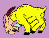 Dibuix Cabra enfadada pintat per genis