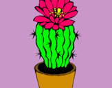 Dibuix Cactus amb flor pintat per LARINA