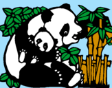 Dibuix Mare Panda pintat per laia