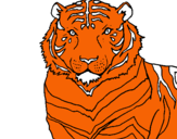 Dibuix Tigre pintat per JOAN