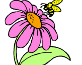 Dibuix Margarida amb abella pintat per ANDREA