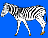 Dibuix Zebra pintat per ana m