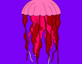 Dibuix Medusa pintat per anouk