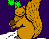 Dibuix Esquirol pintat per julia soca