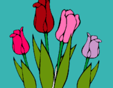 Dibuix Tulipes pintat per lorena p