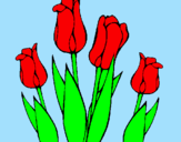 Dibuix Tulipes pintat per roger