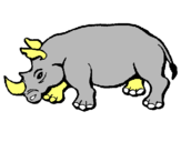 Dibuix Rinoceront pintat per marti