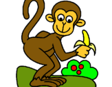 Dibuix Mono pintat per Ramon