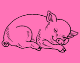 Dibuix Porc dormint pintat per MIREIA DELGADO