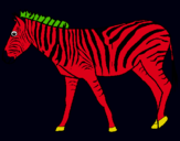 Dibuix Zebra pintat per uygui7