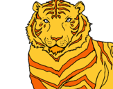 Dibuix Tigre pintat per nerea