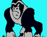 Dibuix Goril·la pintat per LUCAS