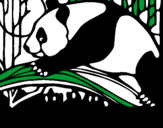 Dibuix Ós panda menjant pintat per FACUNDO