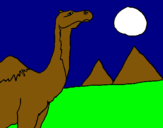 Dibuix Camell pintat per anònimcarla