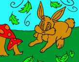 Dibuix Conill pintat per ROGER