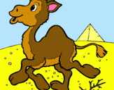Dibuix Camell pintat per XAVIER-MARCIANETE