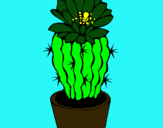 Dibuix Cactus amb flor pintat per ines