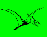 Dibuix Pterodàctil pintat per pol trenado
