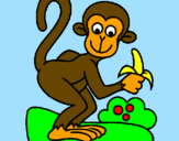 Dibuix Mono pintat per ARNAU   G