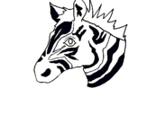 Dibuix Zebra II pintat per Yassine