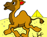 Dibuix Camell pintat per marta