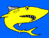 Dibuix Tiburón pintat per ARNAU MEDINA