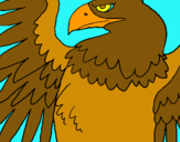 Dibuix Àguila Imperial Romana pintat per mariapeinadozamora
