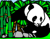 Dibuix Ós Panda i Bambú pintat per clara  l.