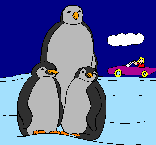 Família pingüí 