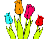 Dibuix Tulipes pintat per marcel