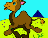 Dibuix Camell pintat per julia belles lopez