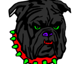 Dibuix Bulldog pintat per wilydcvans!!!