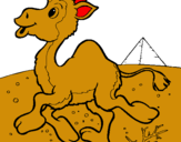 Dibuix Camell pintat per dani alrefai