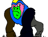 Dibuix Goril·la pintat per carlos