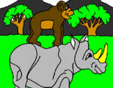 Dibuix Rinoceront i mono pintat per sebastian