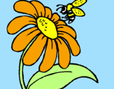 Dibuix Margarida amb abella pintat per pol