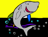 Dibuix Tiburón pintat per iker velasco