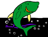 Dibuix Tiburón pintat per laura pi