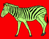 Dibuix Zebra pintat per Albert Blasco