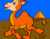 Dibuix Camell pintat per NOA YI