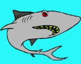 Dibuix Tiburón pintat per cristina pardo