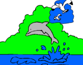 Dibuix Dofí i gavina pintat per CARLA