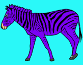 Dibuix Zebra pintat per Marta Blasco