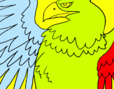 Dibuix Àguila Imperial Romana pintat per eudald