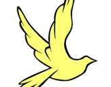 Dibuix Colom de la pau al vol  pintat per ROGER COLOM CARBONELL