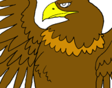Dibuix Àguila Imperial Romana pintat per sergi