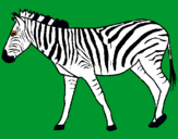 Dibuix Zebra pintat per Roser